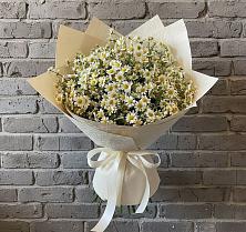Букет цветов из:  Ромашки #REPLACE_PRED# Кашино