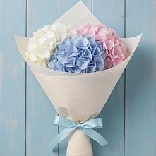 Букет цветов из:  Гортензия #REPLACE_PRED# Кашино