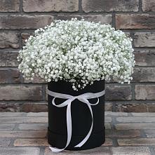 Цветочная композиция из Гипсофила в шляпной коробке в Кашино