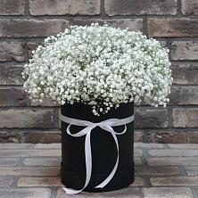 Цветочная композиция из Гипсофила в шляпной коробке в Кашино