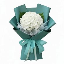 Букет цветов из:  Гортензия в Кашино